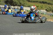 DSC_7010 copie
